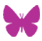 Butterfly Class