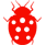 Ladybug Class